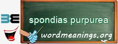 WordMeaning blackboard for spondias purpurea